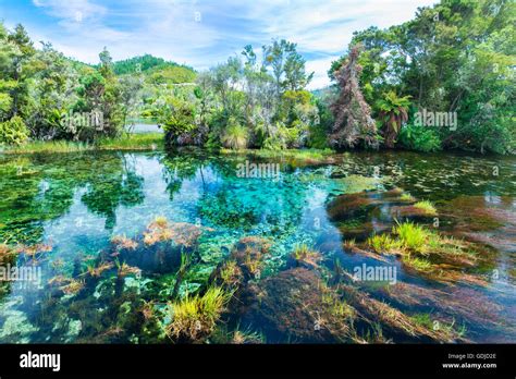 Te Waikoropupu Springs, Pupu Springs in the Golden Bay region on the ...