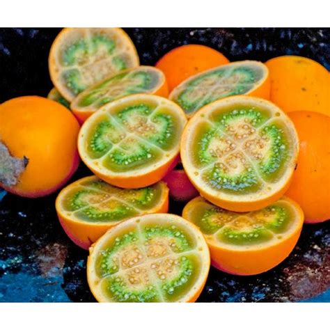 Naranjilla - Solanum Quitoense - 25 Seeds