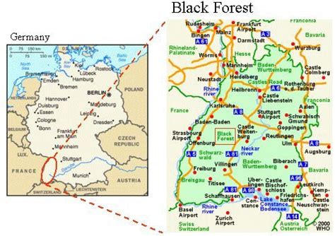 Pin by Jeannie Renn on 2020 Europe Trip - Germany | Germany map, Black forest germany, Frankfort ...