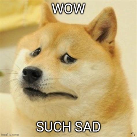 Sad doge - Imgflip