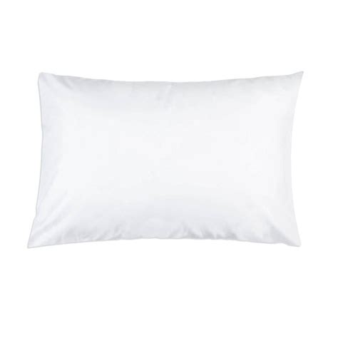 Vinyl Waterproof Pillow Cover: Bedwetting Store - Protective Bedding