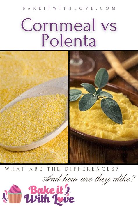 Cornmeal vs Polenta: Liphapang, Ho tšoana, le tse ling