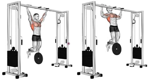 25 Different Types Of Pull Ups and Chin Ups (Variations)