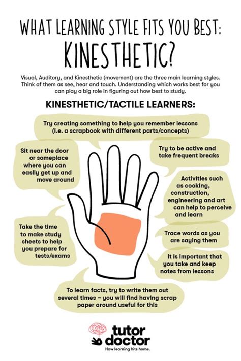 Infographics | In-Home Tuition | Kinesthetic learning activities, Learning style, Kinesthetic ...