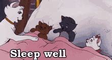 Sleep Well GIF - SleepWell Aristocats Cats - Discover & Share GIFs