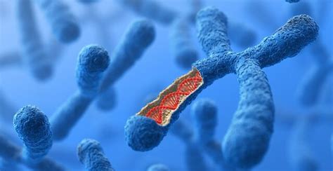 Paraneoplastic Syndrome Lung Cancer Symptoms, Causes, Treatment