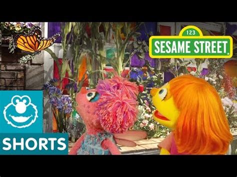 Sesame Street: Butterfly Flapping Fun | Julia & Abby Cadabby | Safe ...