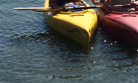 Does anyone know what kind of rec kayak this is? : r/Kayaking