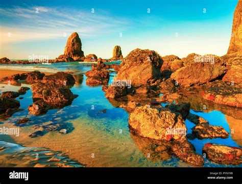 Rock pool treasures hi-res stock photography and images - Alamy