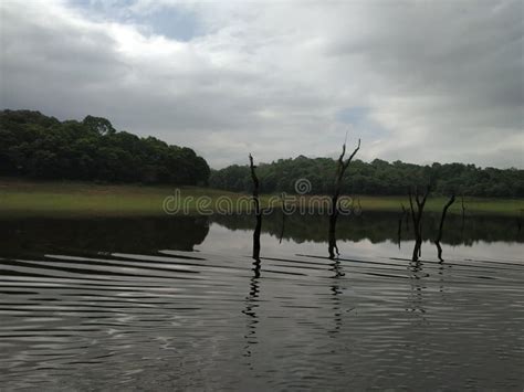 Forest reserve kerala stock image. Image of tour, reserve - 124024581