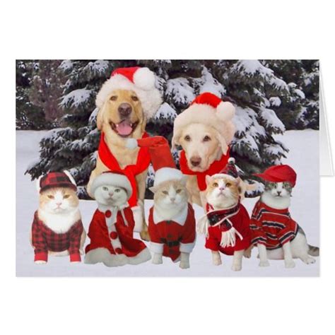 Create your own Card | Zazzle.com | Pet christmas cards, Pet holiday cards, Christmas animals