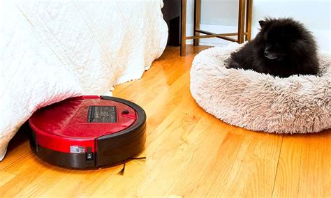 The Best Robot Vacuum for Pet Hair in 2021 - The Clean House Guide