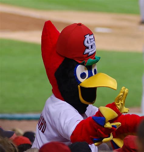 Fredbird | Fredbird, St. louis Cardnials baseball mascot. | Jim French | Flickr