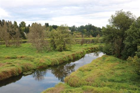 Salmon Creek, WA Salmon Creek, River, Landscape, Outdoor, Outdoors, Scenery, Outdoor Games, The ...