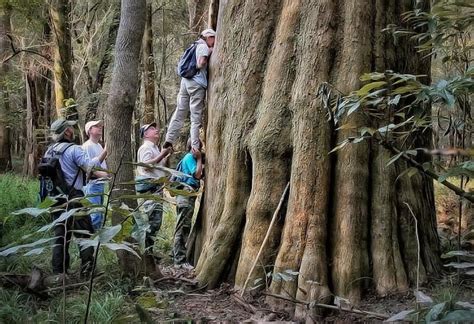 Congaree National Park - Lake Murray Country