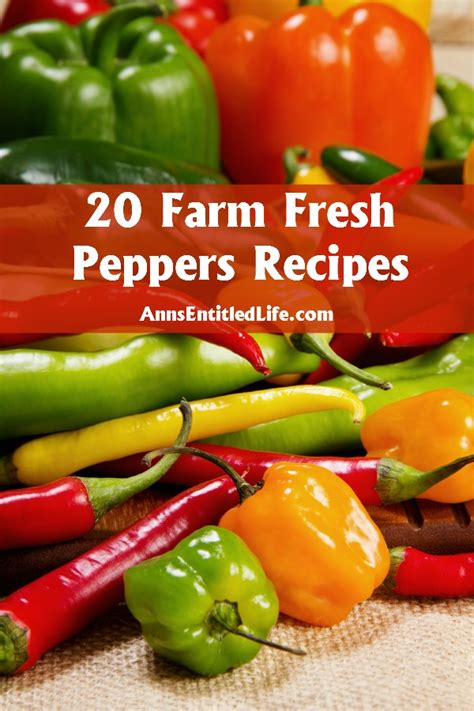 20 Farm Fresh Peppers Recipes