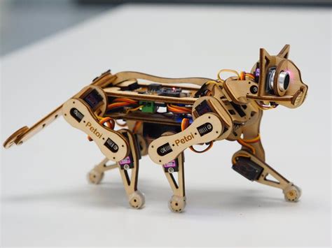 Petoi Nybble in 2020 | Robot cat, Cool stuff, Robot