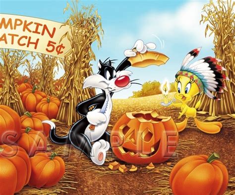 🔥 Download Tweety And Sylvester Doing Preparations For The Halloween ...