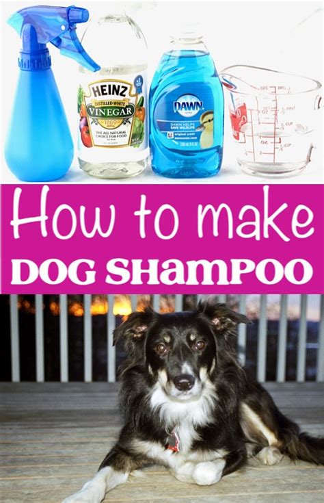 Homemade Dog Shampoo Recipe! {3-Ingredient DIY Spray}