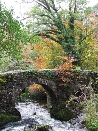 Glengarriff Nature Reserve - 2020 All You Need to Know BEFORE You Go (with Photos) - Tripadvisor