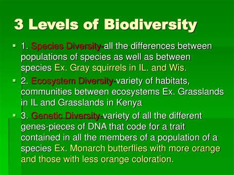 Levels Of Biodiversity Diagram