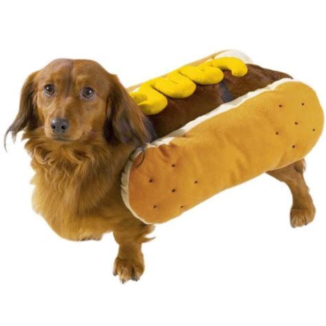 Pet Hot Dog Dress Up Costume S M L - Adjustable Clothes Dachshund Puppy Sausage | eBay