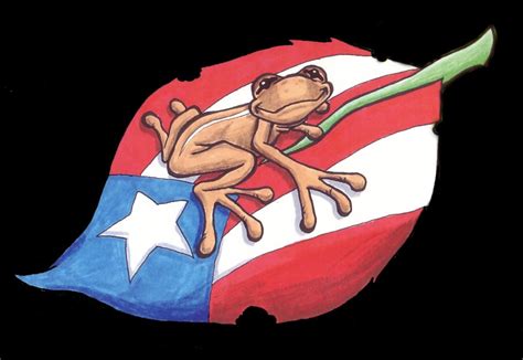 Puerto Rican Coqui Frog Clip Art – Cliparts