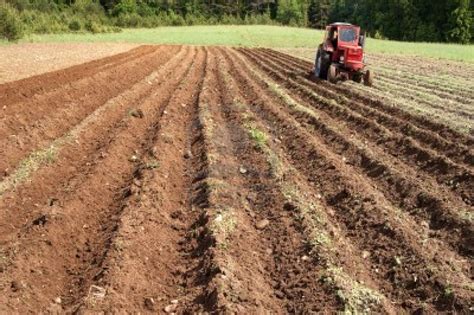 AGROACADEMICOSMY: SURCADO DE TERRENO