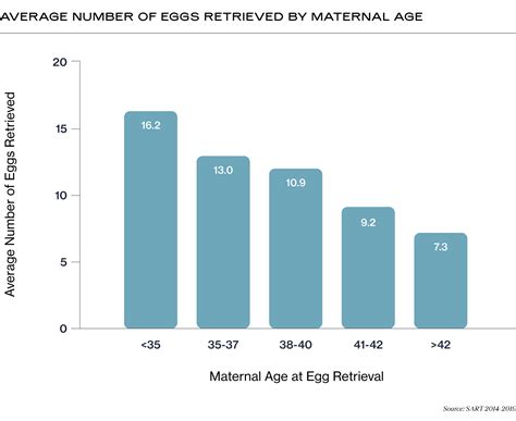 Your Guide to Understanding the IVF Funnel and Success Rates