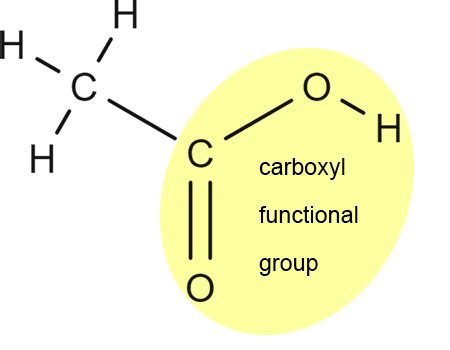 Draw a specific example of a carboxylic acid and label the functional group. | Homework.Study.com