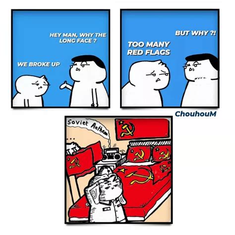 Red Flags : r/funny