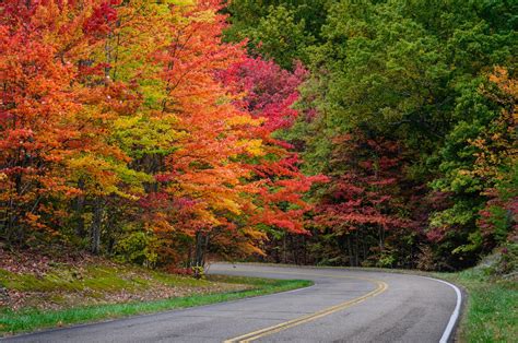 Skyline Drive – The Best Place to Enjoy Fall Foliage - Avenue Realty