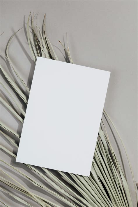 White Printer Paper on White Surface · Free Stock Photo