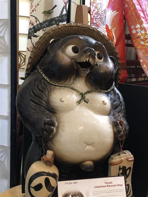 Tanuki (Japanese Raccoon Dog) - Japonica