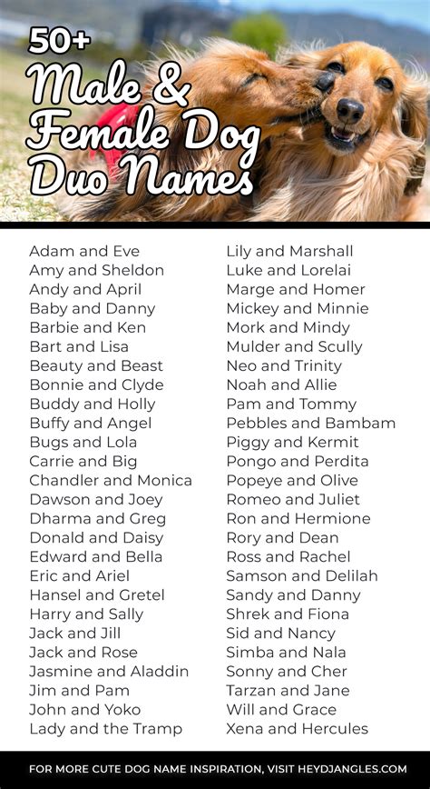 200+ Best Dog Duo Names – Perfect Pair Names for Pets! - Hey, Djangles.