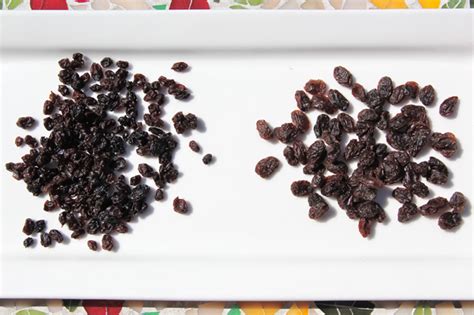 Fresh Red Currants vs. Dried Currants | Bakepedia Tips