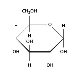 Carbohydrates | Biology | Visionlearning