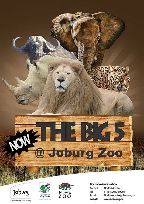 Events at joburg zoo (With images) | Animals, Zoo, South africa travel