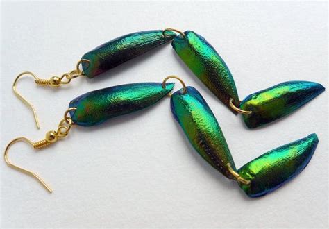 Beetle Wing earrings green marbled jewel beetle elytra by Skullbag Wing Earrings, Dangle ...