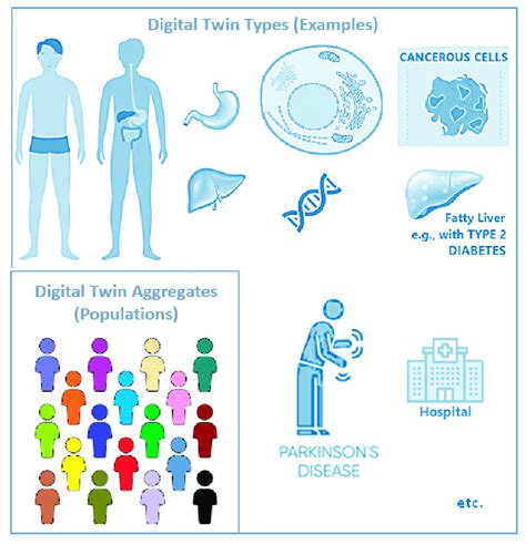 Key concepts and examples of human digital twins: digital twin types... | Download Scientific ...