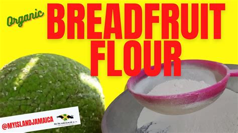 How to Make BREADFRUIT FLOUR - You'd NEVER Guessed It Was This EASY! # ...