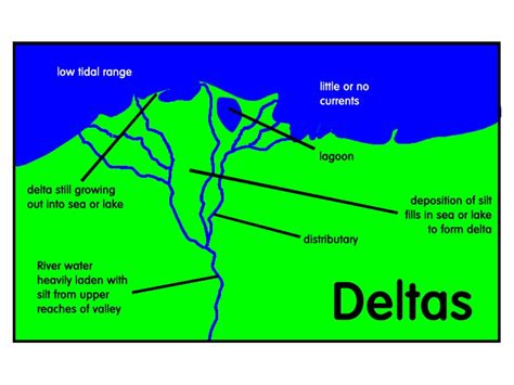 What is Delta: Definition, Formation & Types of Delta - Eschool