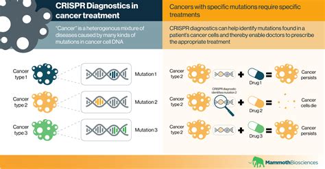 CRISPR diagnostics in cancer treatment - Mammoth Biosciences