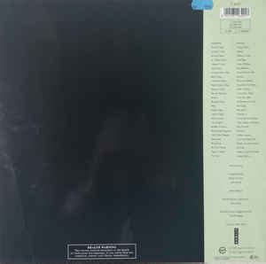 Mike Oldfield ‎– Amarok - LP - Retrodisko Pood