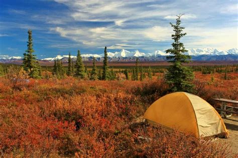 The Top 10 Best National Parks for Camping: a Comprehensive Guide ...