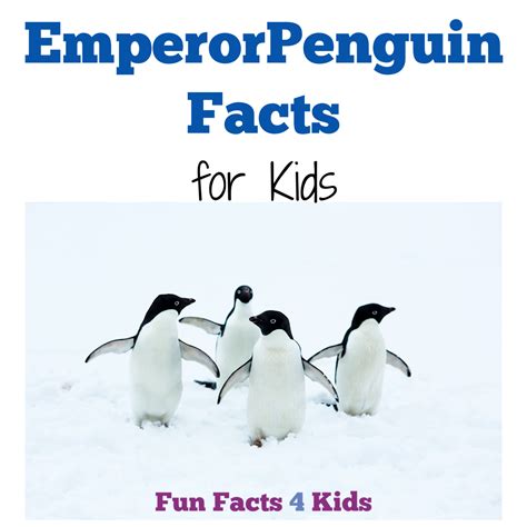 Fun Facts about the Emperor Penguin for Kids – Fun Facts 4 Kids