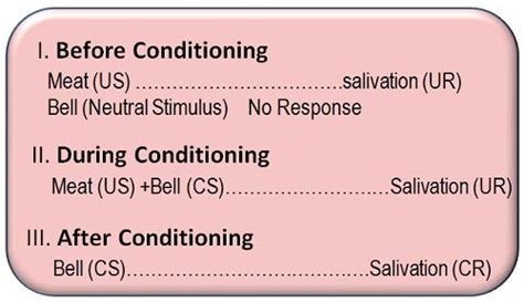 What is Classical Conditioning Theory? definition and meaning ...