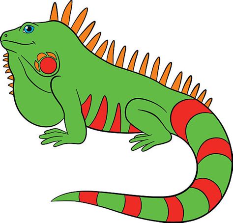 Iguana Illustrations, Royalty-Free Vector Graphics & Clip Art - iStock