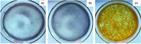 The images of lead acetate solution and the reaction products of lead ...