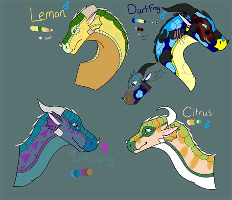 Rainwing oc headshots 1 by AstariaAries on DeviantArt